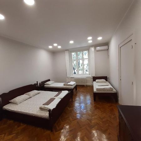 Downtown Apartment In Walk Zone With 3 Bedrooms And Garage Novi Sad Eksteriør billede