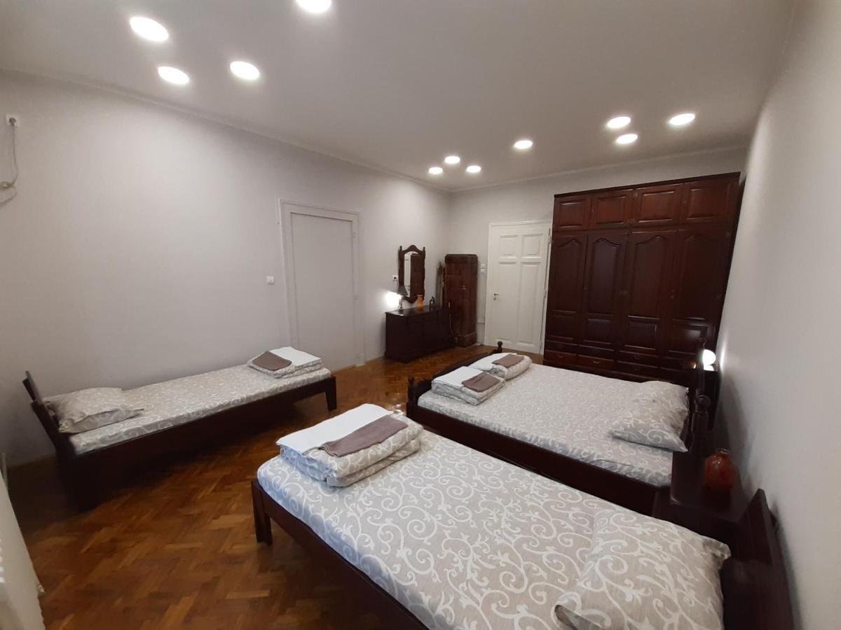 Downtown Apartment In Walk Zone With 3 Bedrooms And Garage Novi Sad Eksteriør billede