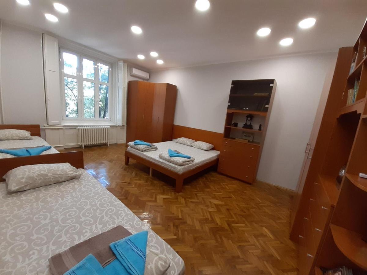 Downtown Apartment In Walk Zone With 3 Bedrooms And Garage Novi Sad Eksteriør billede