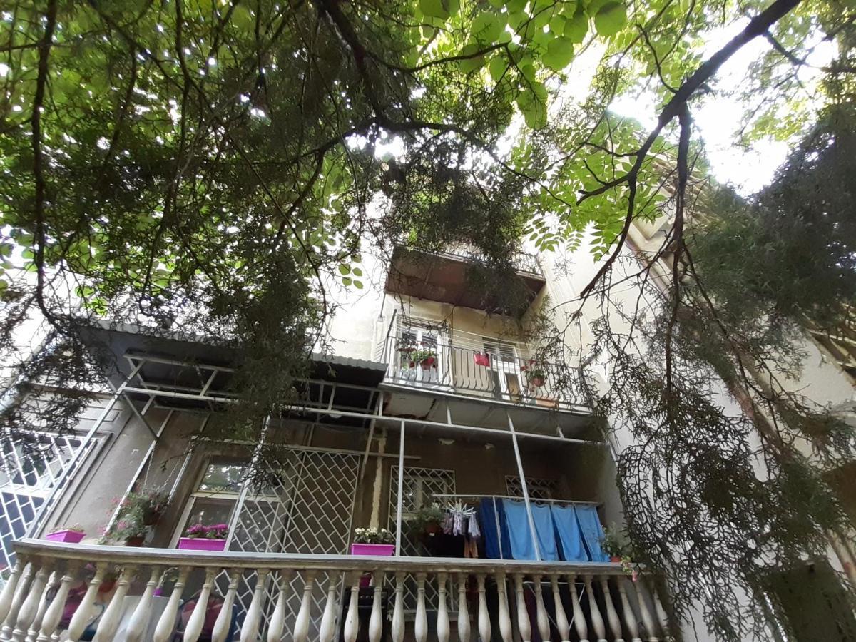 Downtown Apartment In Walk Zone With 3 Bedrooms And Garage Novi Sad Eksteriør billede