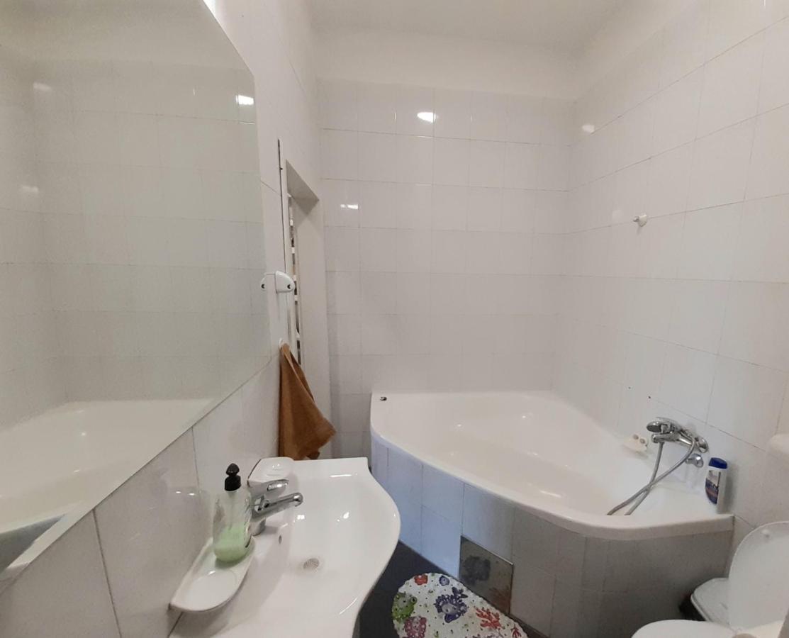 Downtown Apartment In Walk Zone With 3 Bedrooms And Garage Novi Sad Eksteriør billede